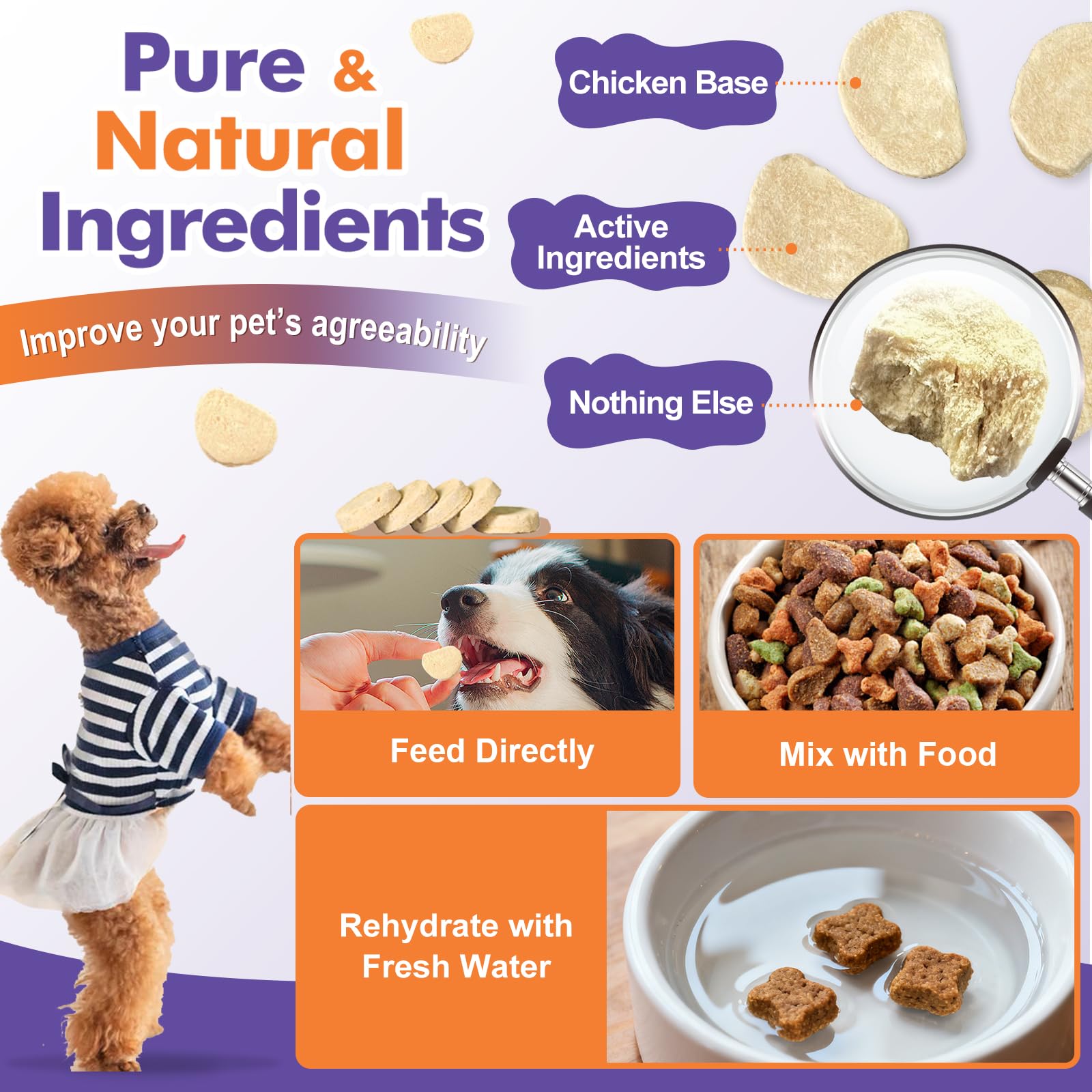 DRFOSTER Probiotics for Dogs subscribe option for ongoing gut support