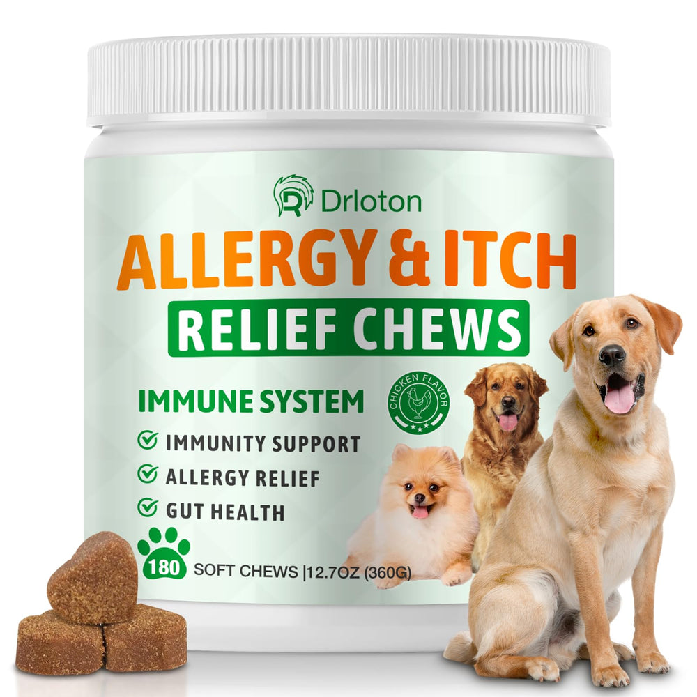 Drloton dog allergy chews bottle close-up for easy daily use and dosing