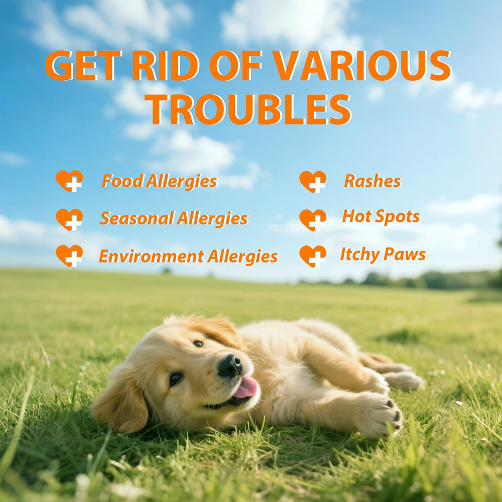 Drloton dog allergy chews chicken flavor close-up highlighting palatable texture