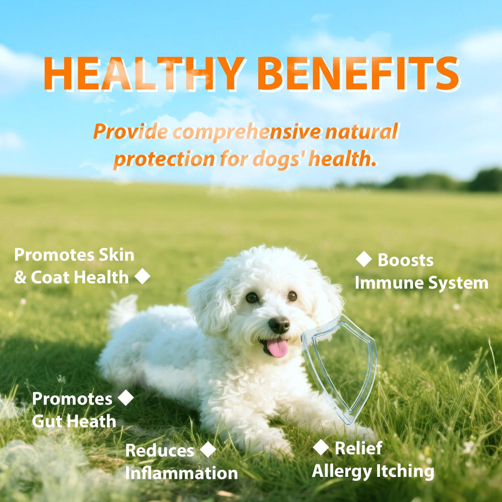 Drloton dog allergy chews packaging opened for convenient dispensing
