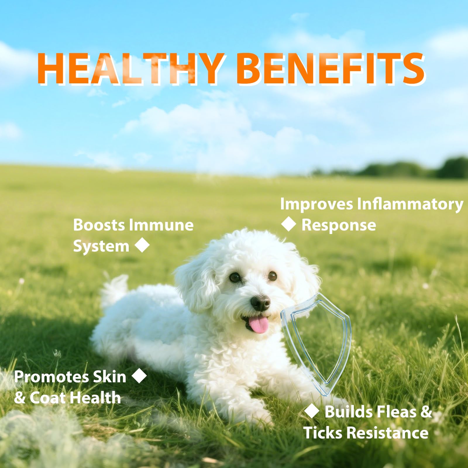 Drloton dog chews soft texture support easy daily dosing and palatable taste.