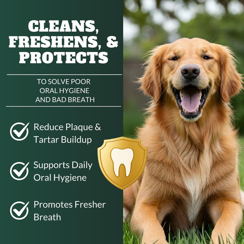 DRMOIS dog teeth powder scoop in tub for simple daily dosing.