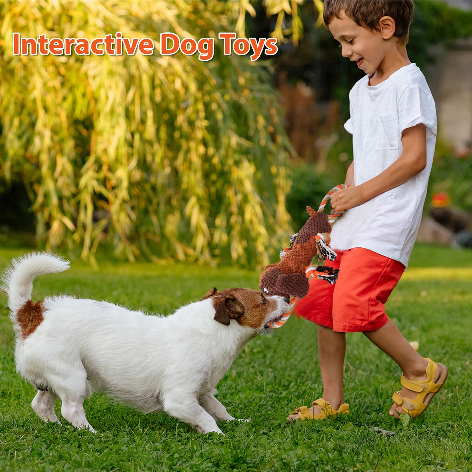 Drmstow soft plush exterior ideal for puppies and gentle chewers