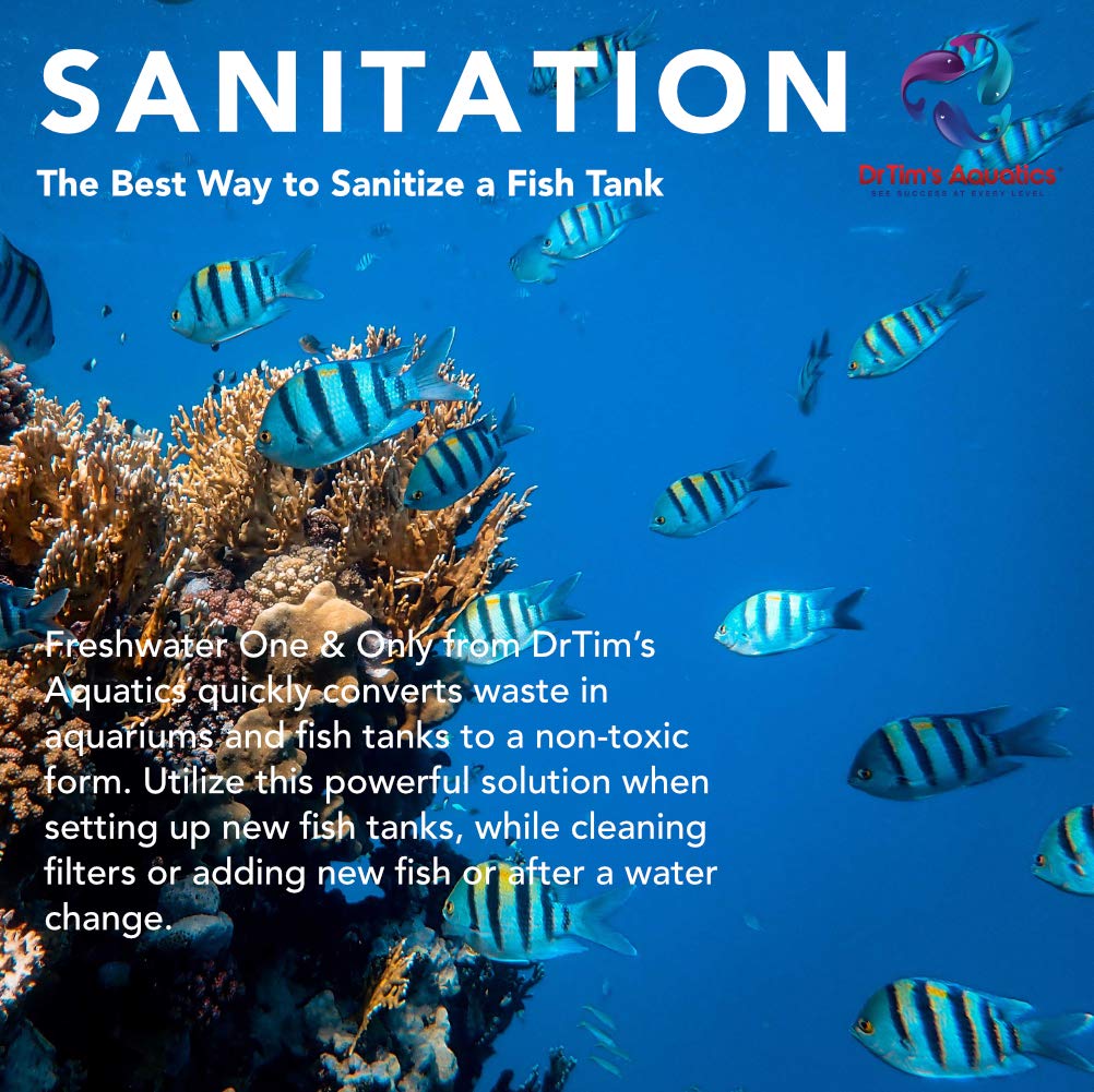 DrTim's Aquatics One & Only shake and pour dosing shows simple application