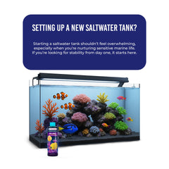 DrTim’s Aquatics One & Only bottle closeup highlighting live nitrifying solution for cycling.