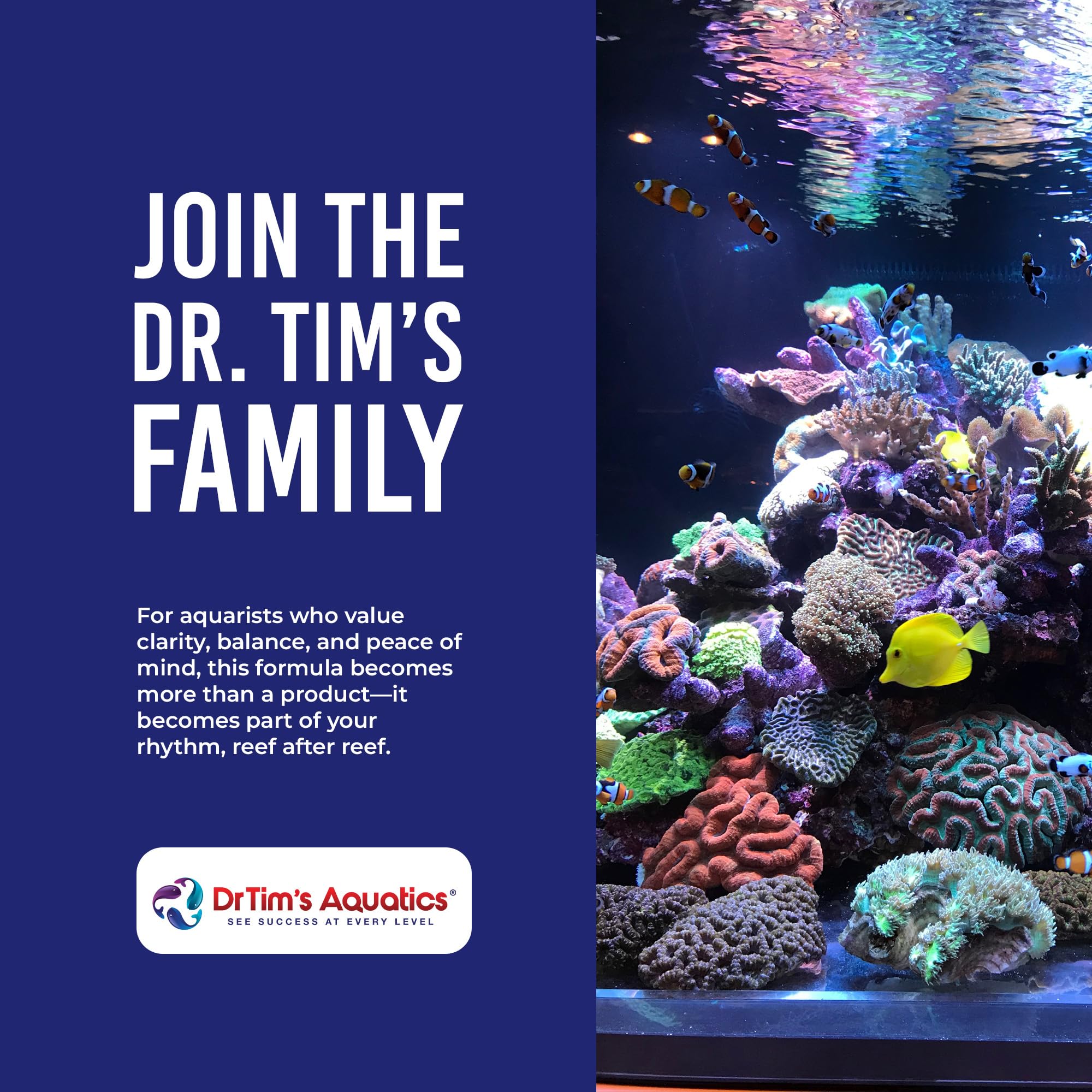DrTim’s Aquatics One & Only aquarium ready setup enhancing clarity and balance.