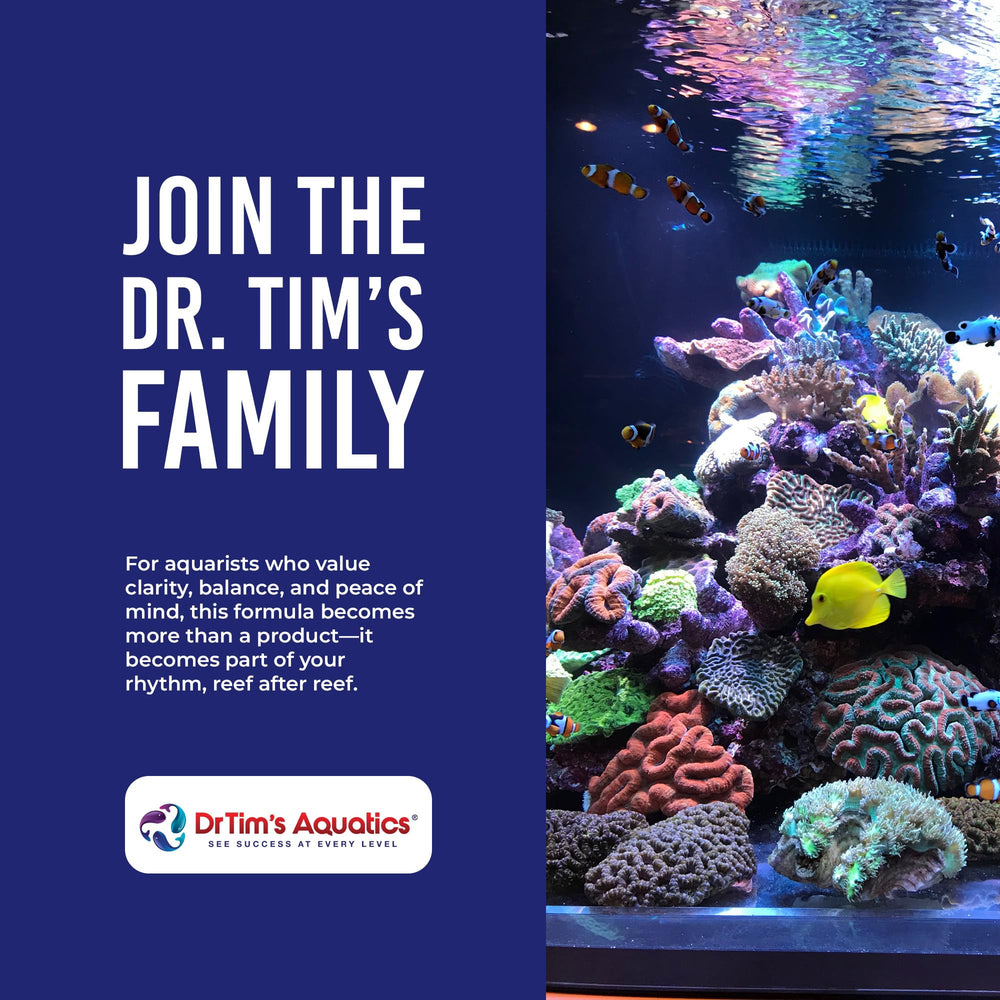 DrTim’s Aquatics One & Only aquarium ready setup enhancing clarity and balance.