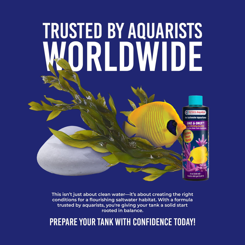 DrTim’s Aquatics One & Only marine aquarium scene illustrating water stability.
