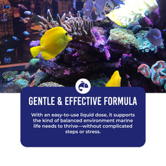 DrTim’s Aquatics One & Only tank setup scene demonstrating jumpstarting cycling.