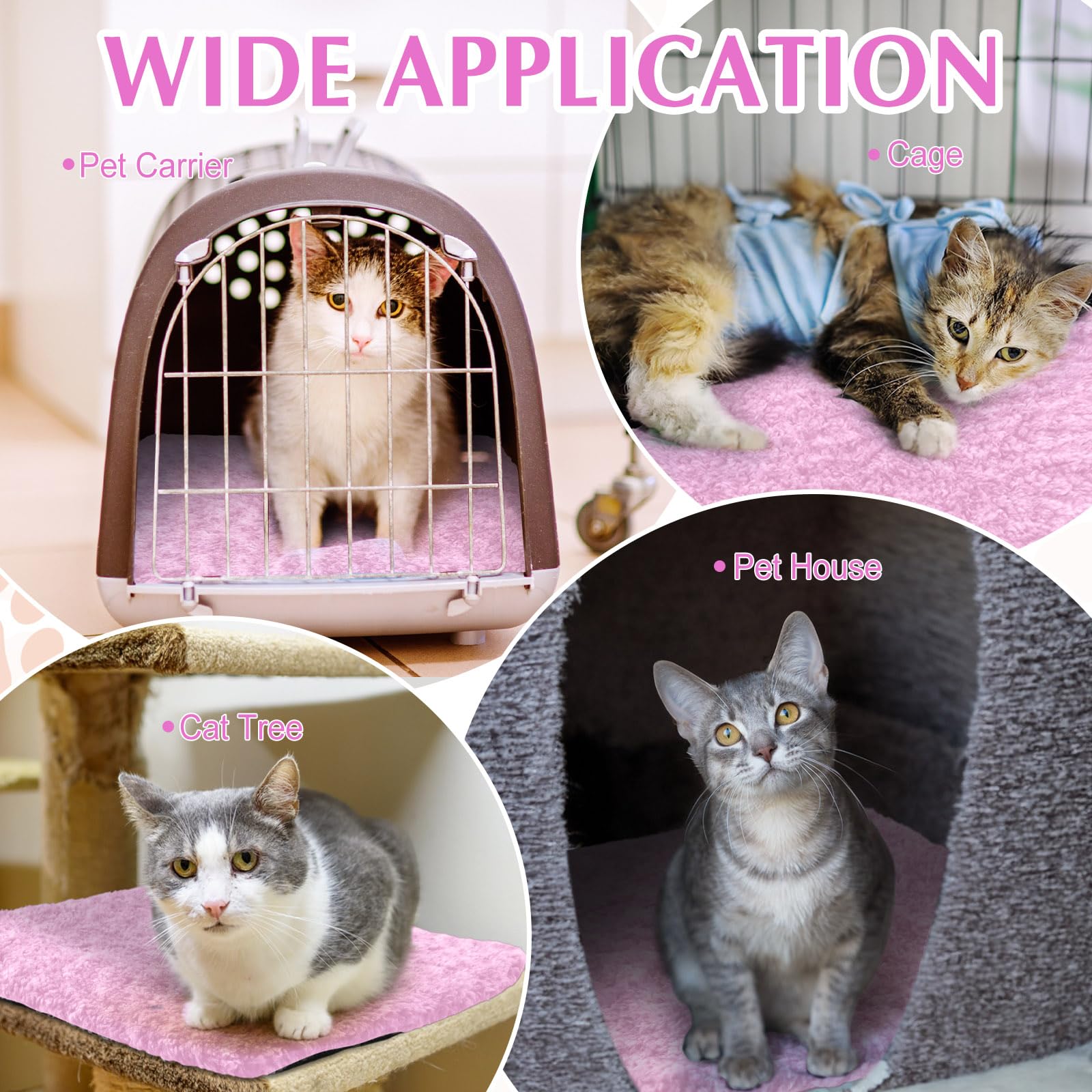 Drydiet cat pad travel application demonstrates portable warmth on the go.