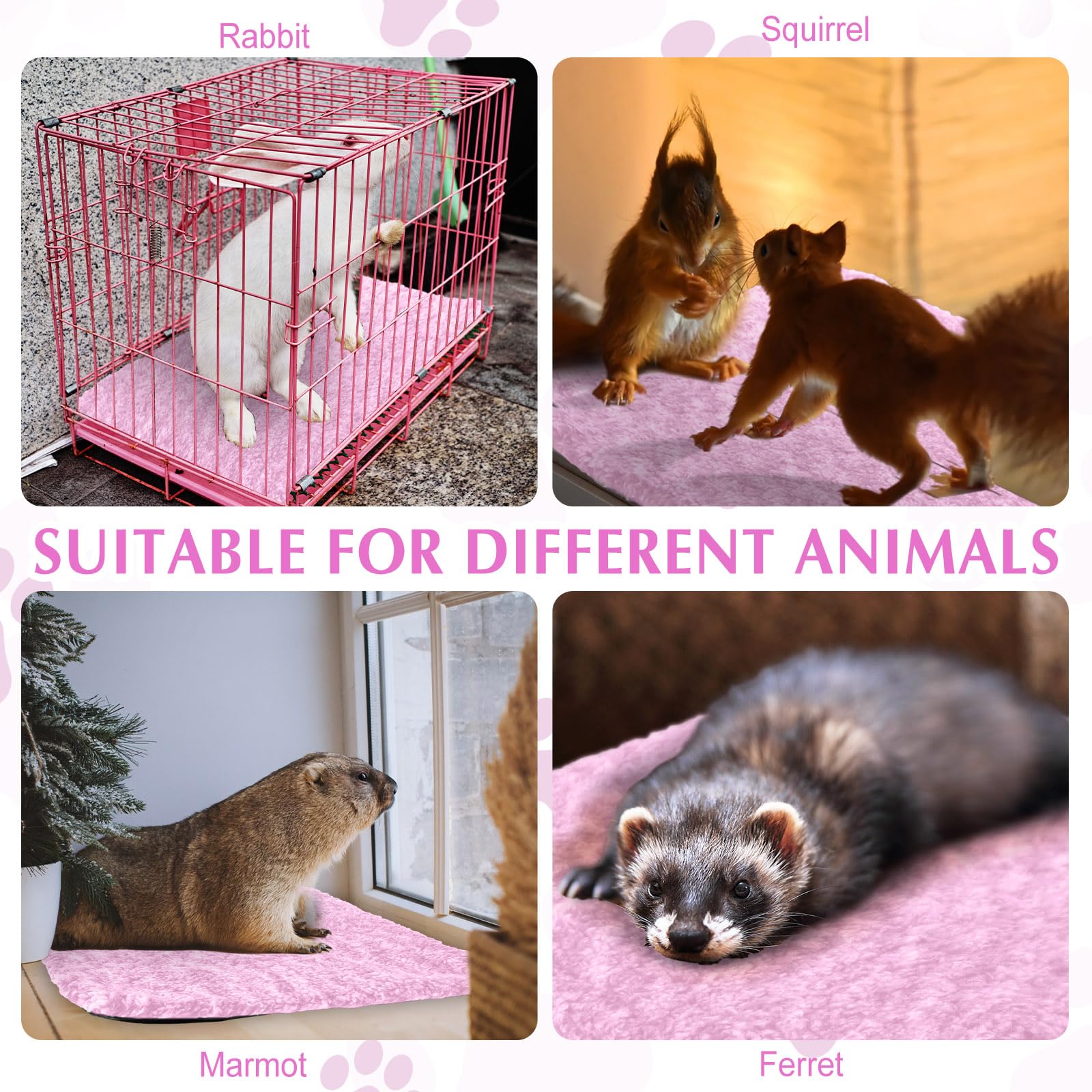 Drydiet cat pad removable cover washability emphasizes easy cleaning.