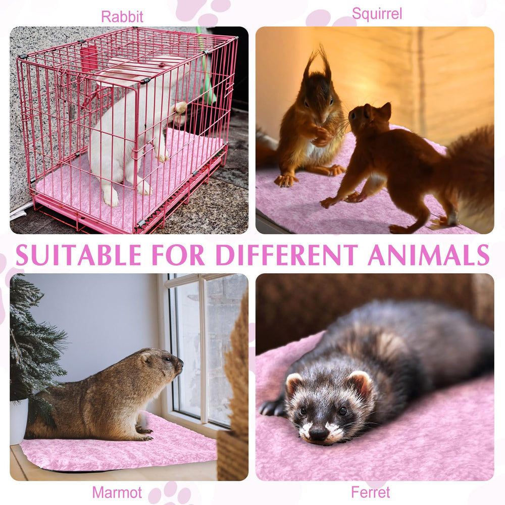 Drydiet cat pad removable cover washability emphasizes easy cleaning.