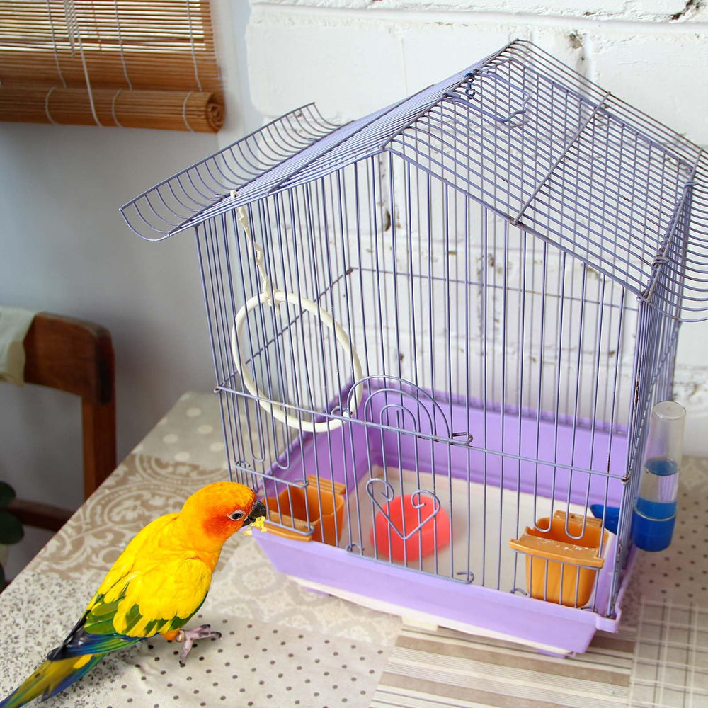 Drydiet odor-control liner helps keep cages smelling fresh daily.