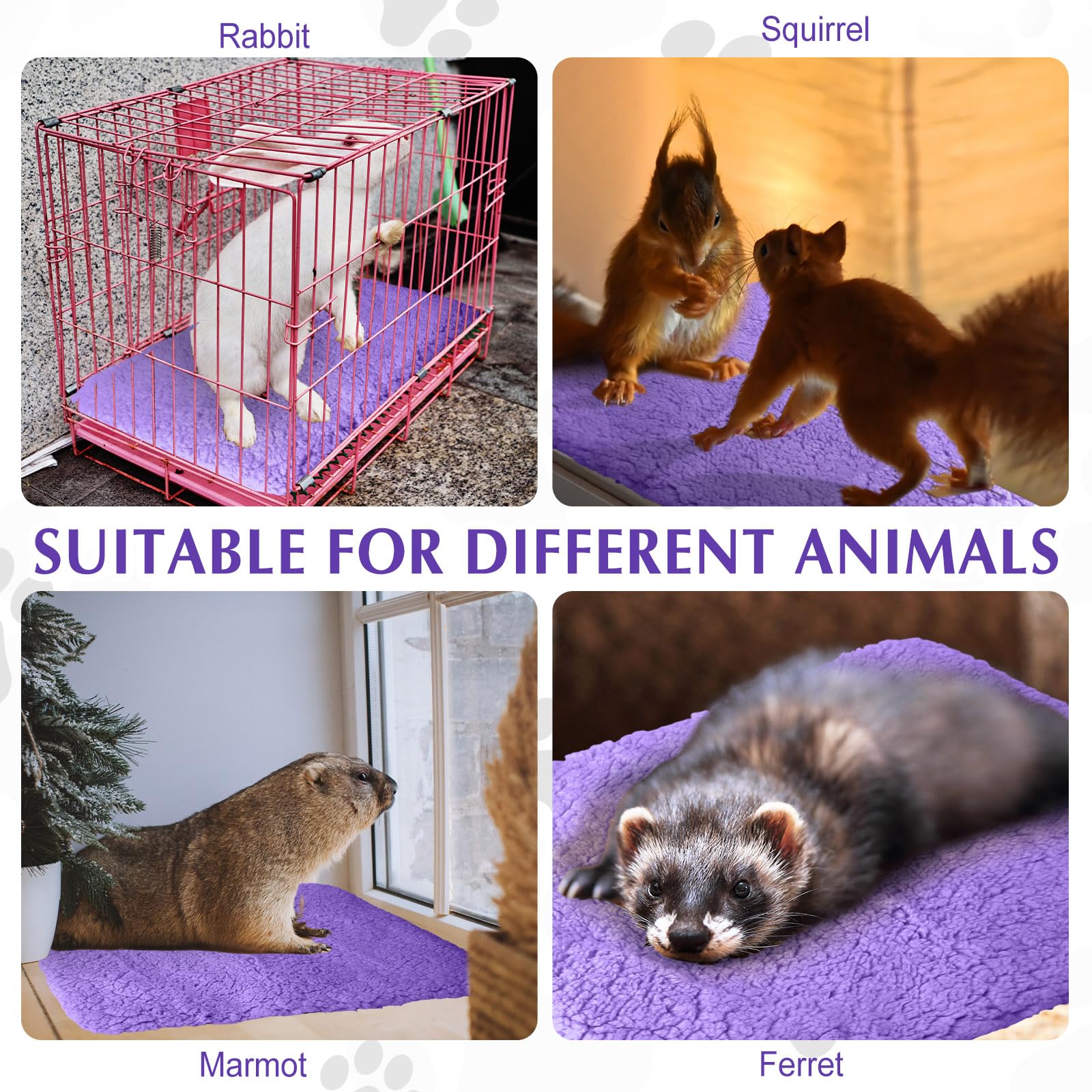 Drydiet pet travel use illustrating portable warmth for outdoors