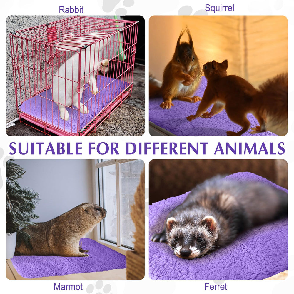 Drydiet pet travel use illustrating portable warmth for outdoors