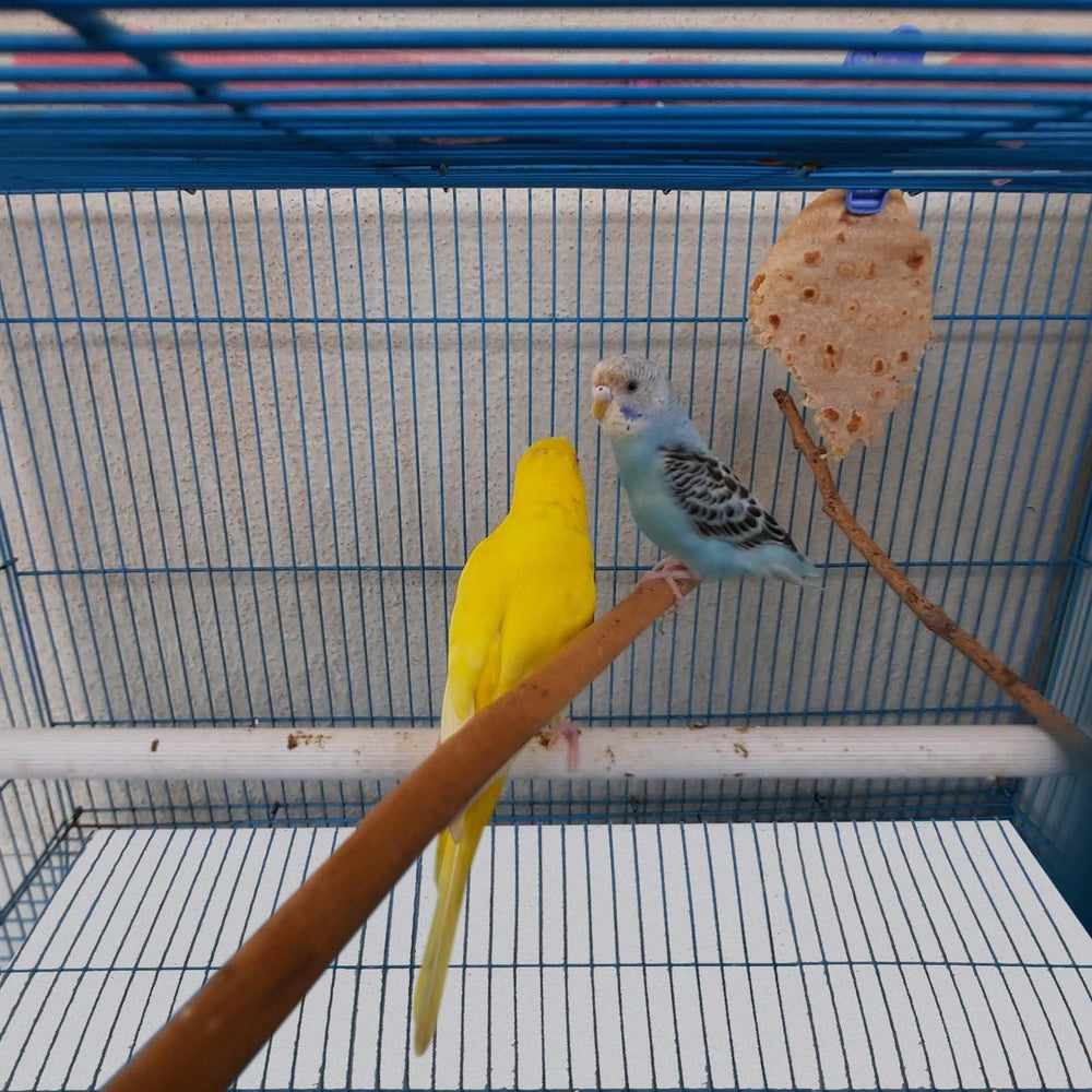 Drydiet pre-cut absorbent liner enables quick setup for any cage.