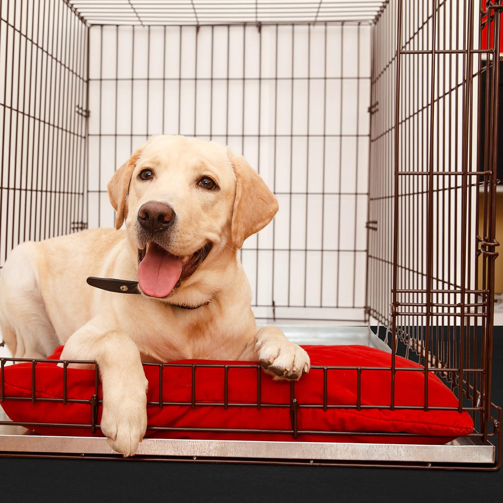 Drydiet PVC Pet Crate Floor Protection Mat in crate setup supports safe, comfortable space.