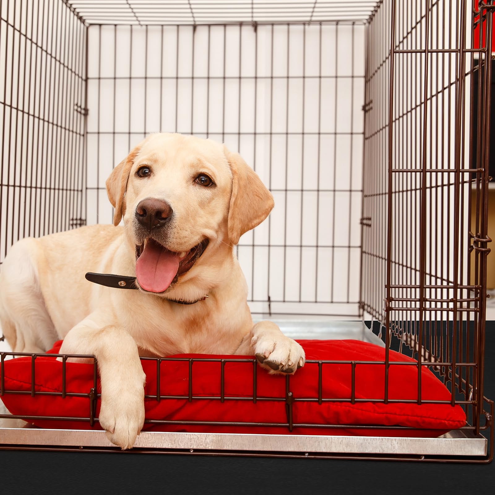 Drydiet PVC Pet Crate Floor Protector whelping pad suitable for training and safe rest