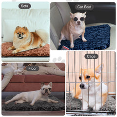 Drydiet self-heating cat pad black delivers soft warmth for lounging