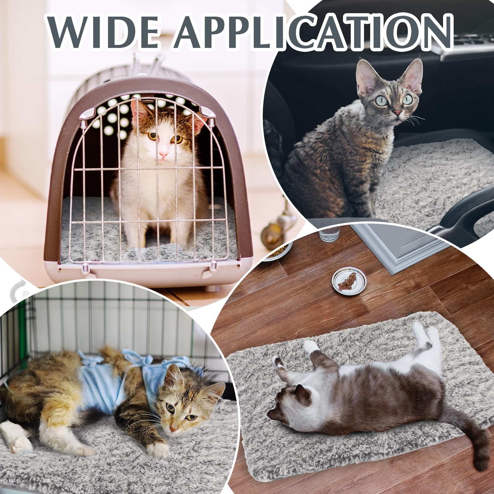 Drydiet self-warming cat pad gray in-crate demonstrates secure sleeping area