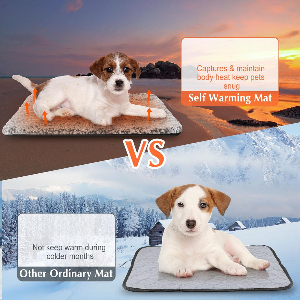 Drydiet self-warming cat pad gray four-pack packaging highlights value