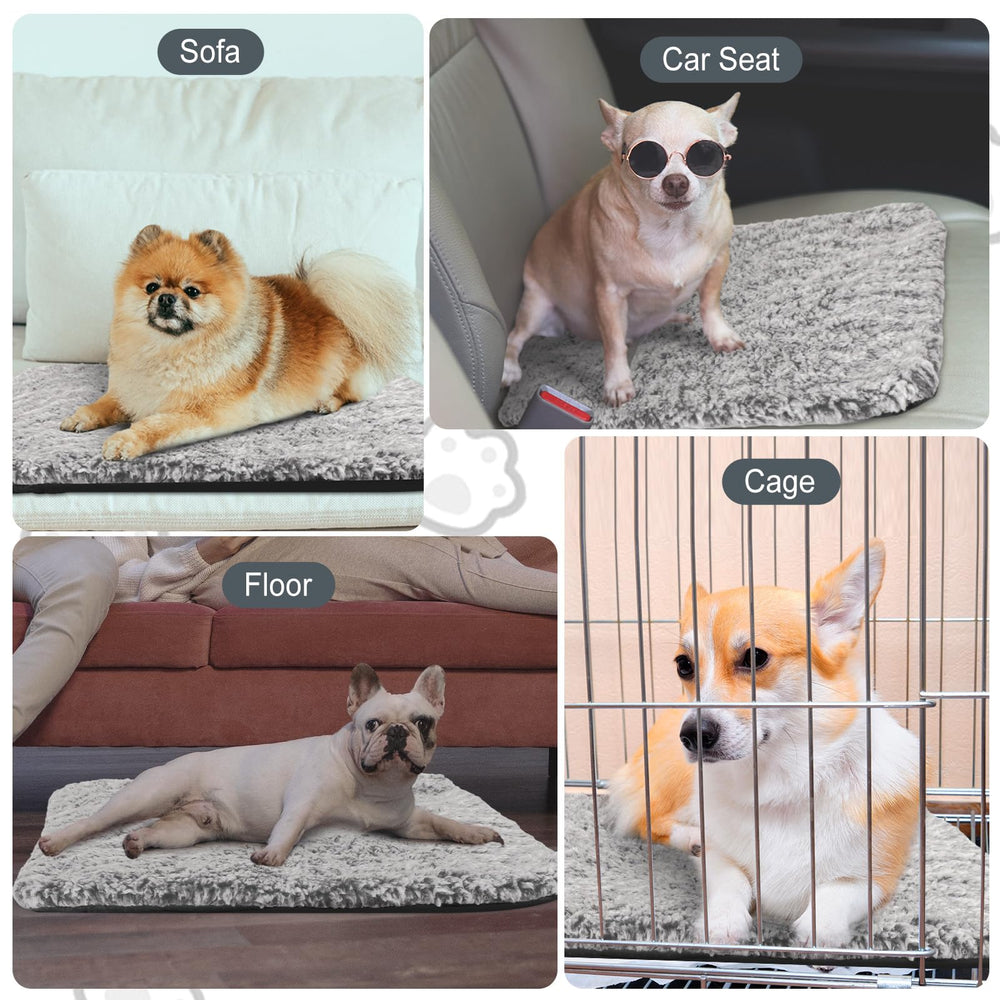 Drydiet self-warming cat pad gray travel-use setup shows portable warmth on outings