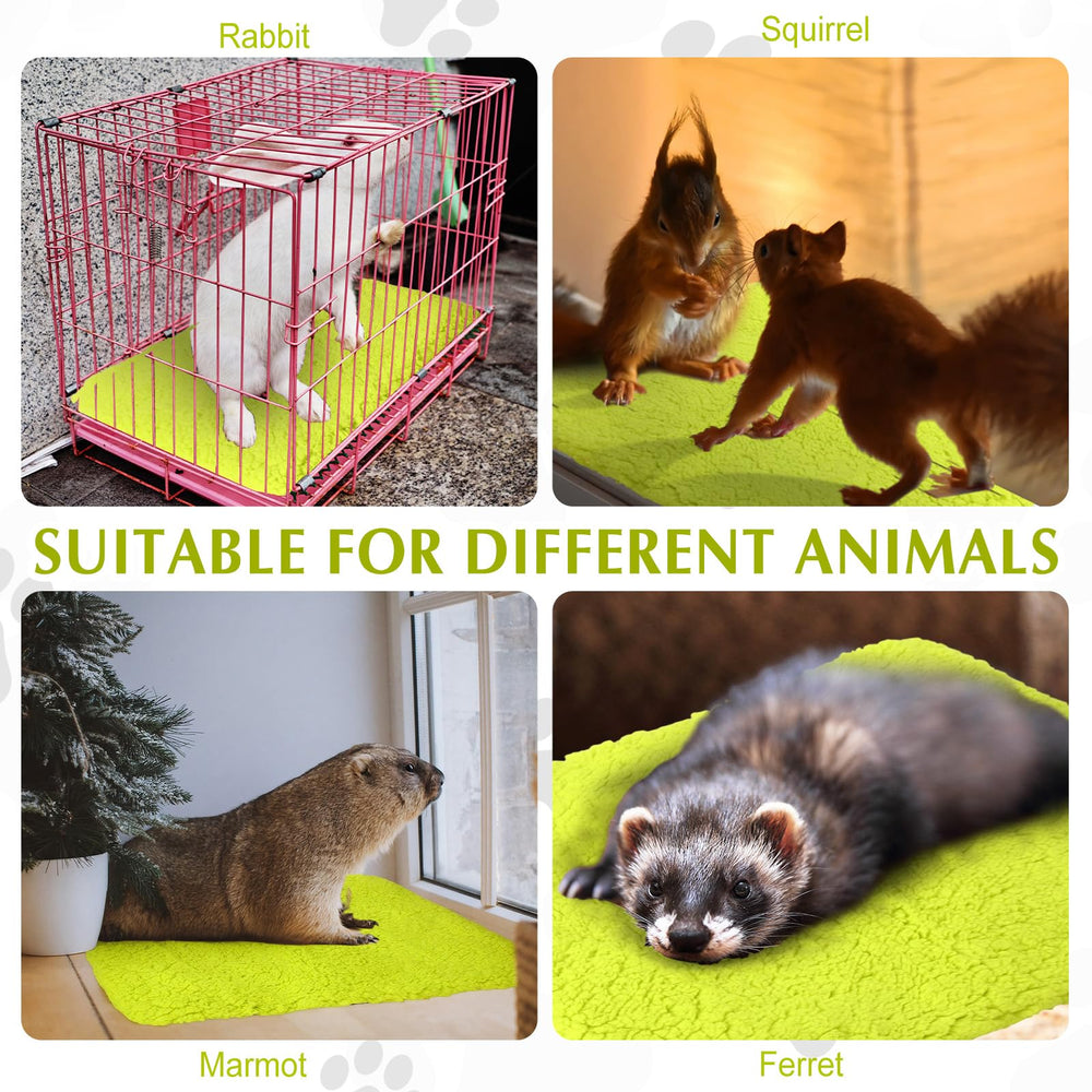 Drydiet fluorescent-green cat pad ready for indoor or outdoor warmth on cold days