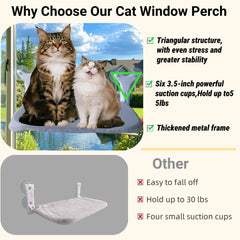 DSCANDYMQ cat window perch hammock suction cups closeup highlights six-point stability for large cats.