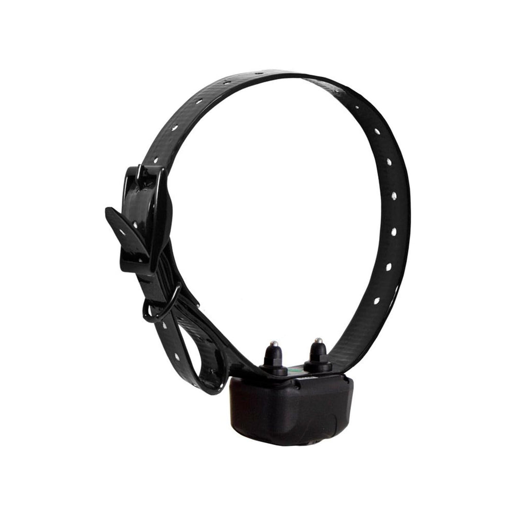 DT Systems DD700 illustrating 700-yard range for long-range dog training in open spaces