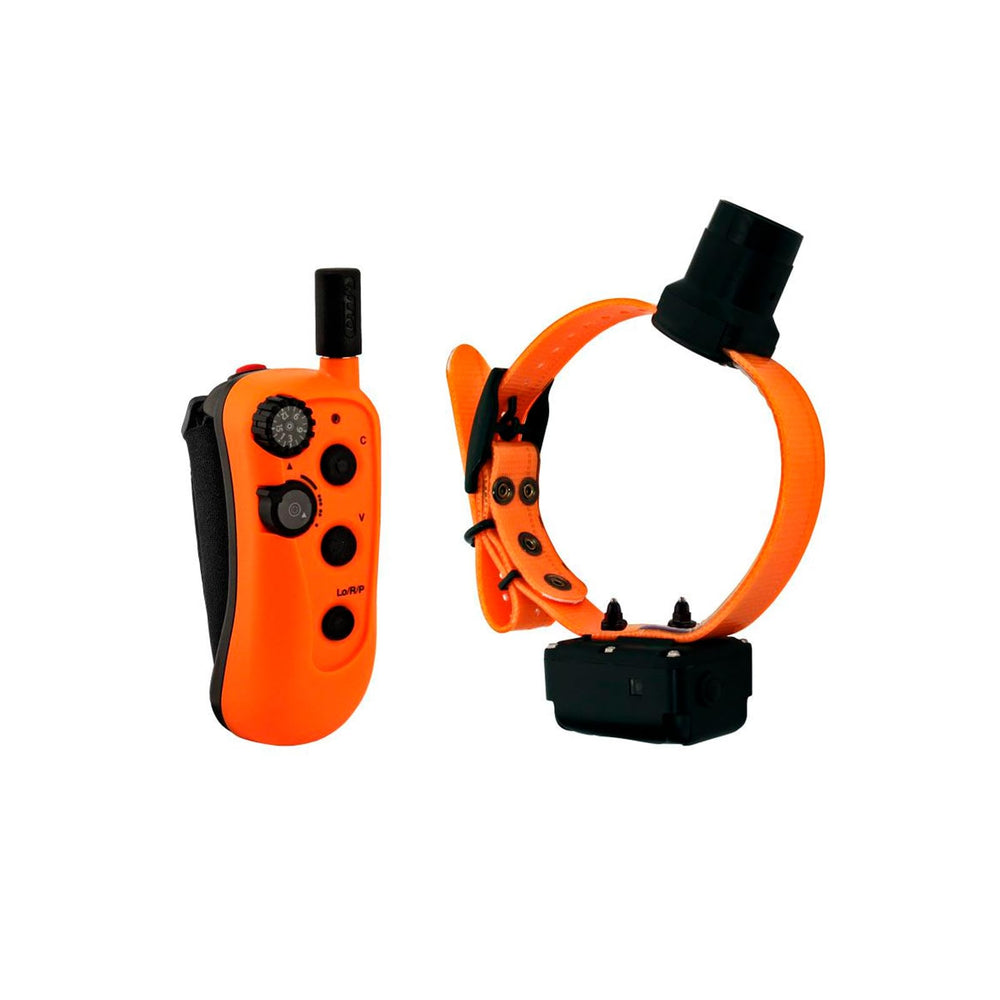 DT Systems RAPT1450 Upland Beeper collar waterproof and floating for water-friendly training
