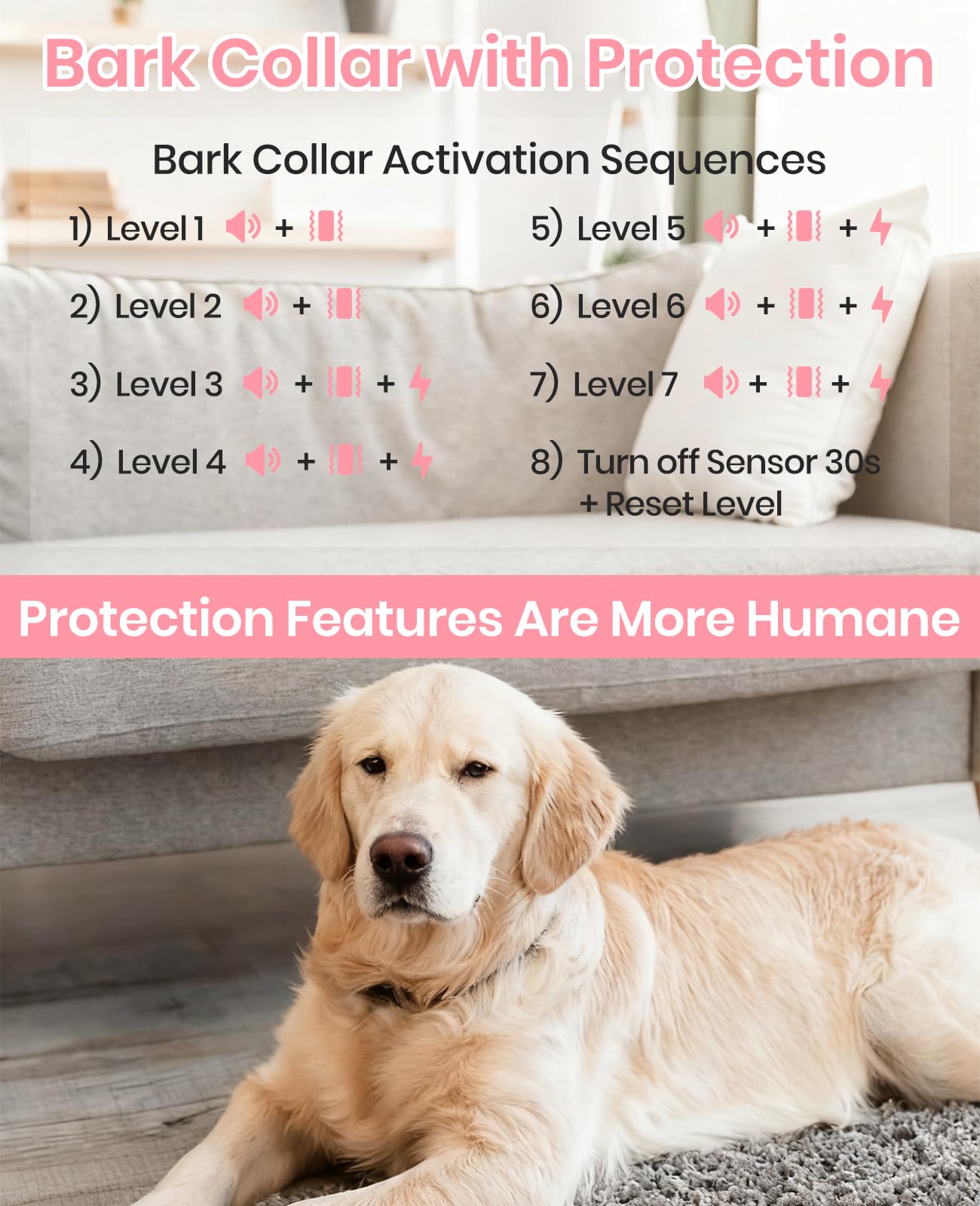 DTCollar 3-channel design for multi-dog training