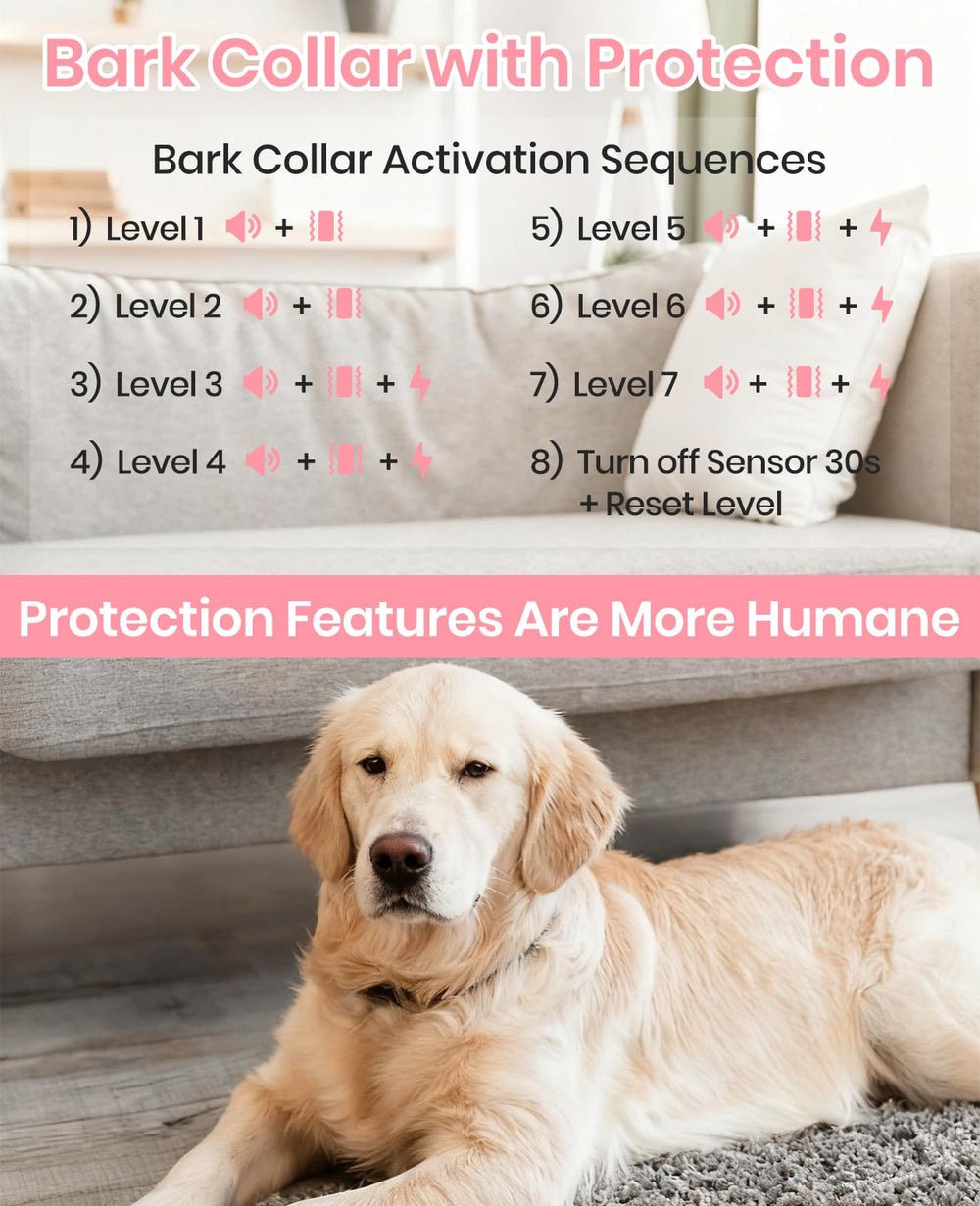 DTCollar 3-channel design for multi-dog training