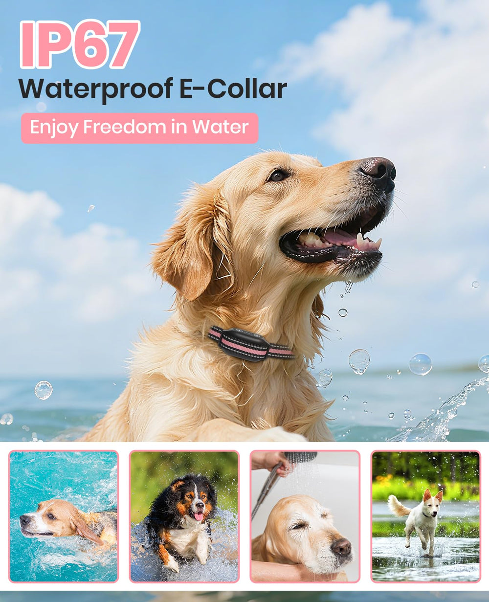 DTCollar long battery life for collar and remote