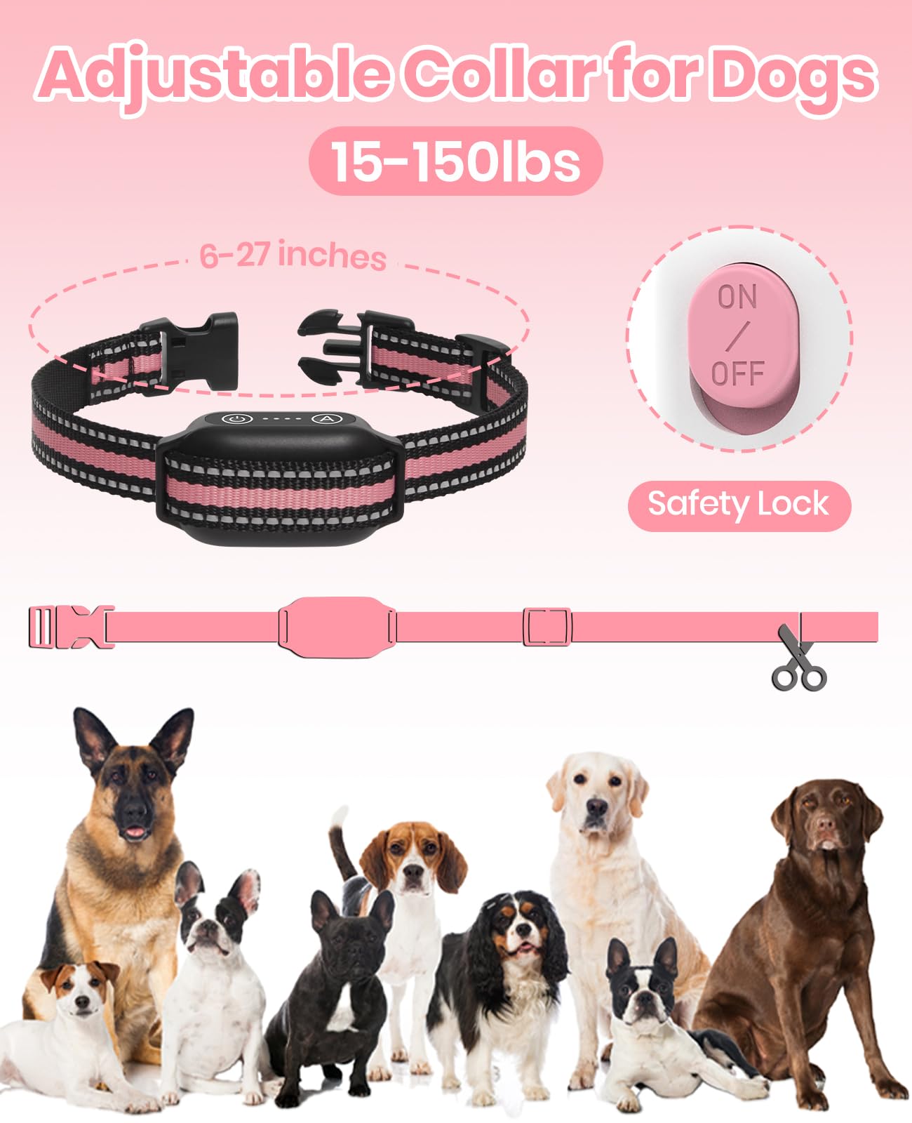 DTCollar two-collar pack suitable for households with dogs
