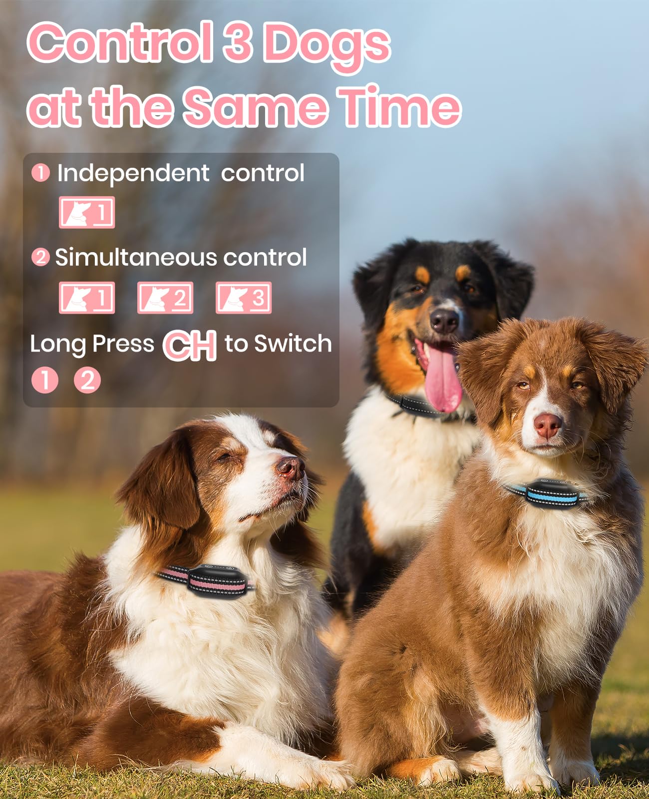 DTCollar adjustable bark sensitivity levels for accuracy