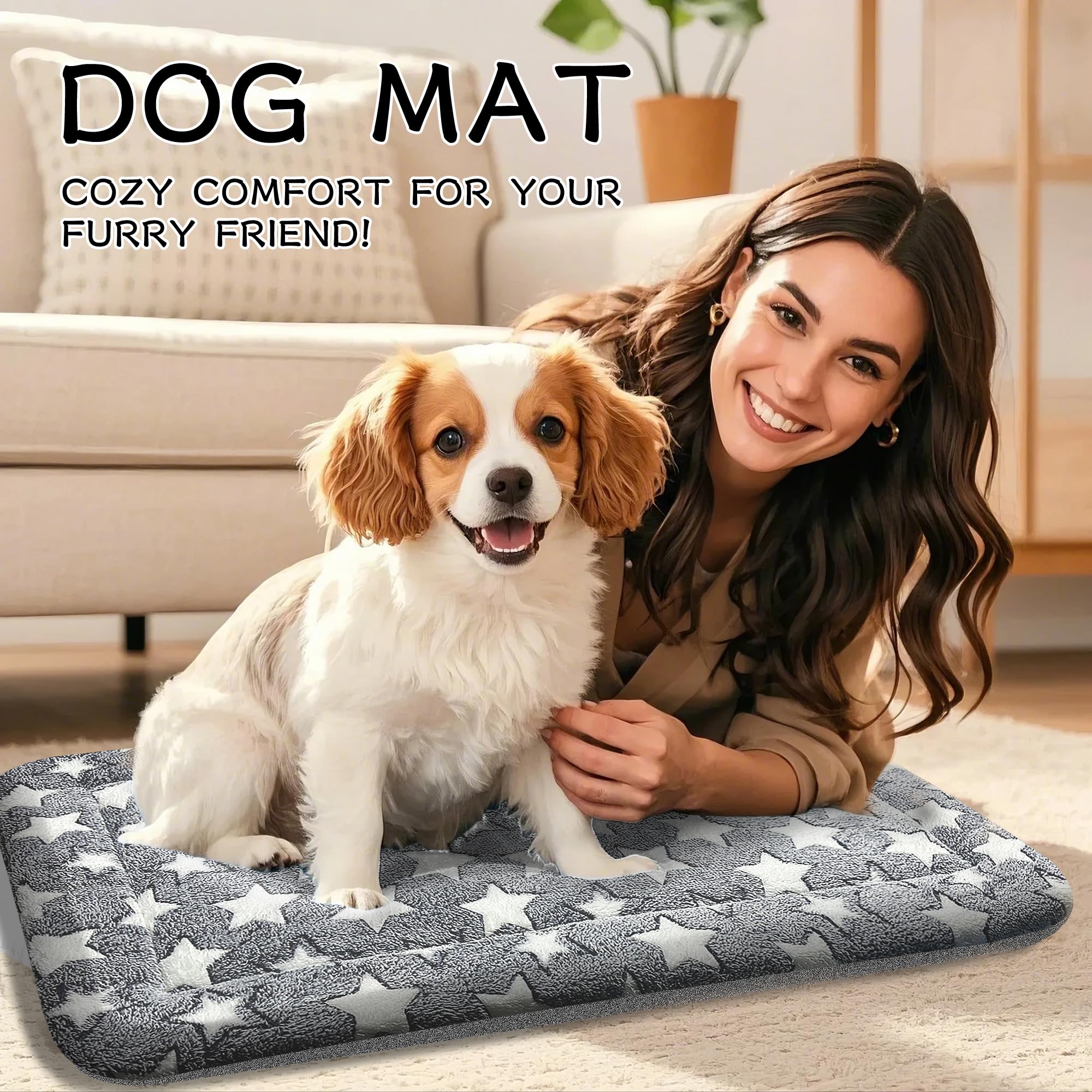 DTKIUSDKR range of sizes fits small to large pets.