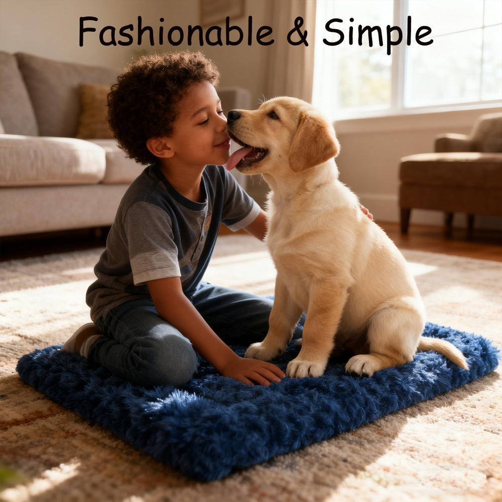 DTKIUSDKR durable crate bed built for daily use
