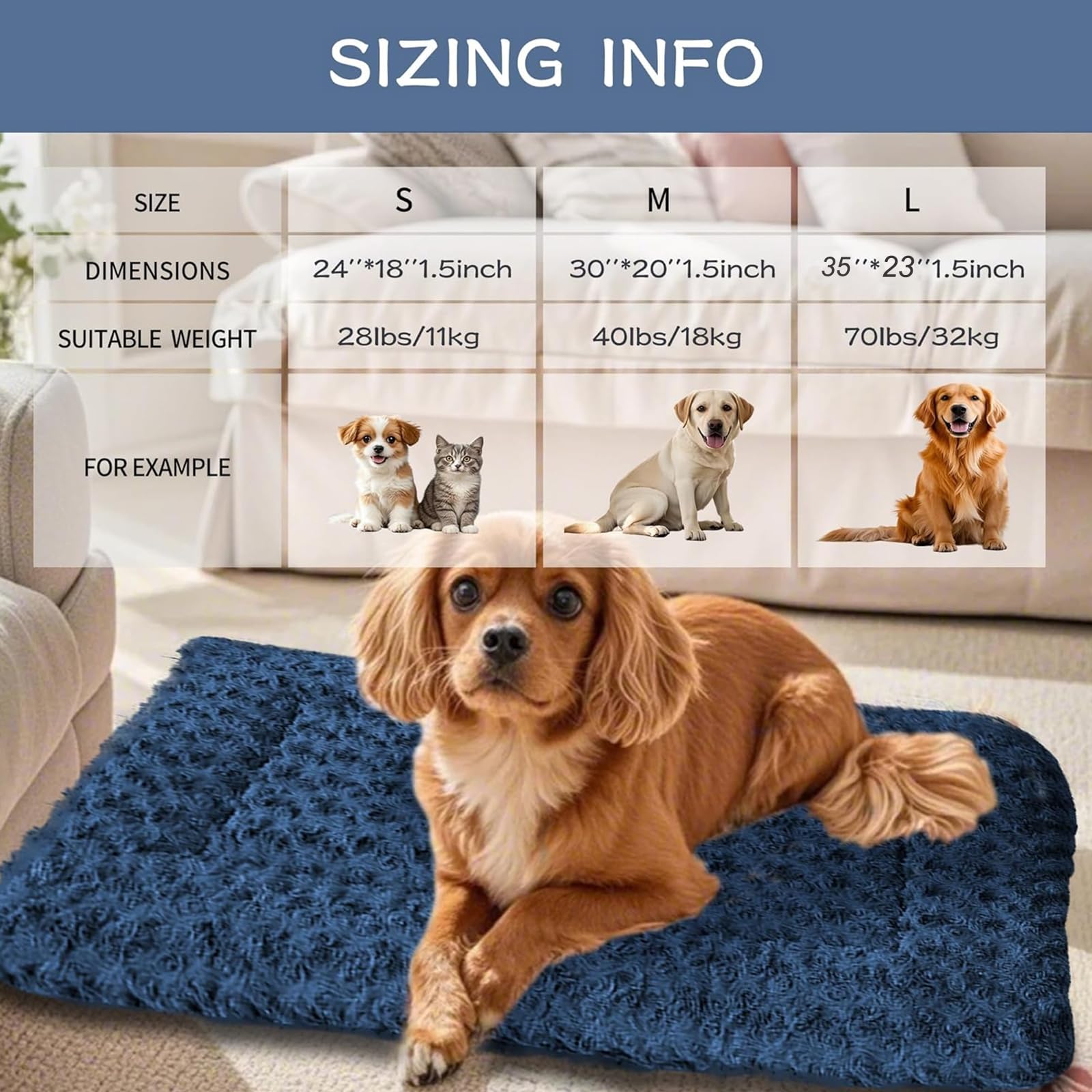 DTKIUSDKR indoor-outdoor versatile mat for home or travel