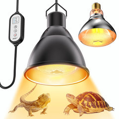 DTZY Reptile Light Fixture 7-inch deep dome shows broad heat coverage for two or more pets