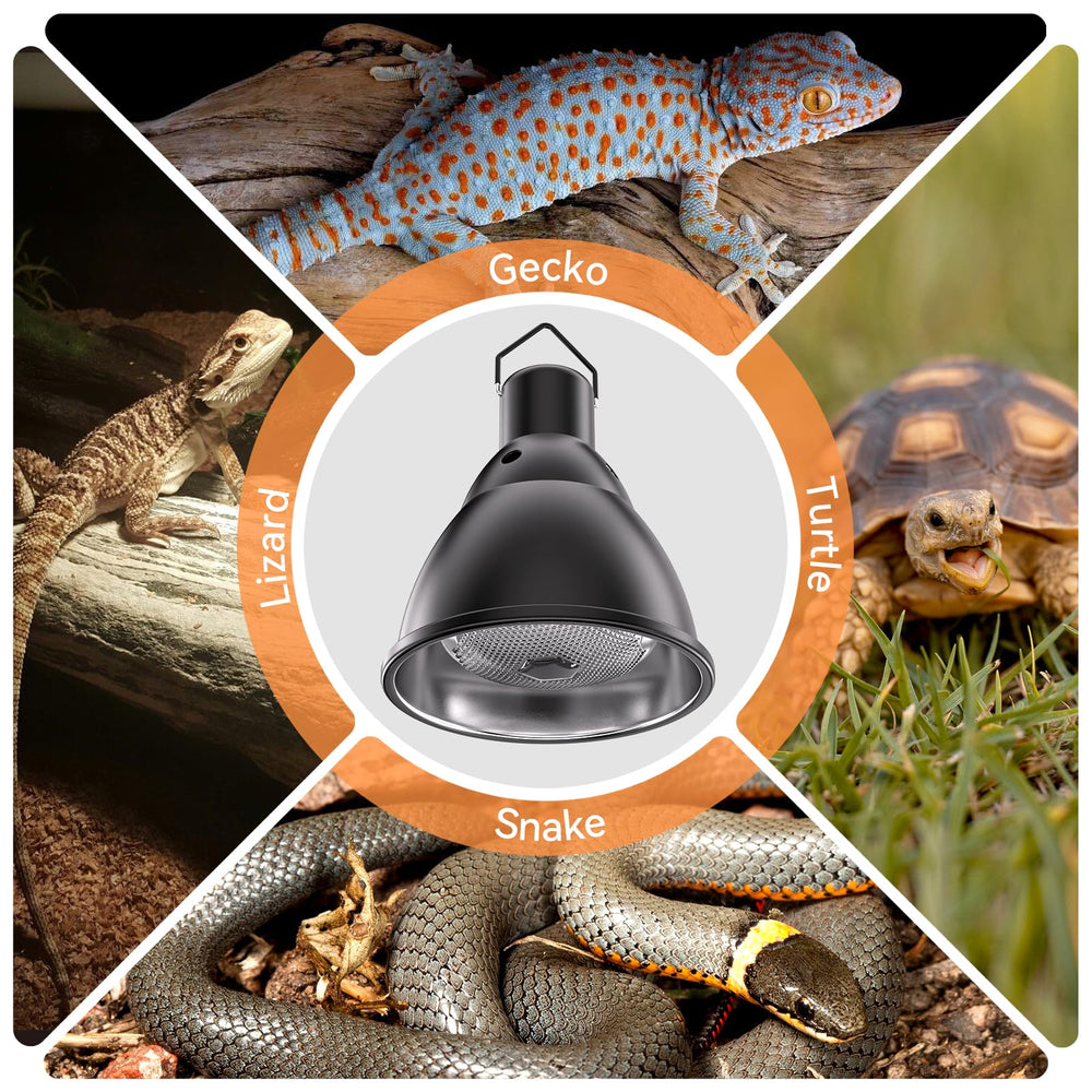 DTZY Reptile Light Fixture compatibility with bearded dragons, turtles and lizards