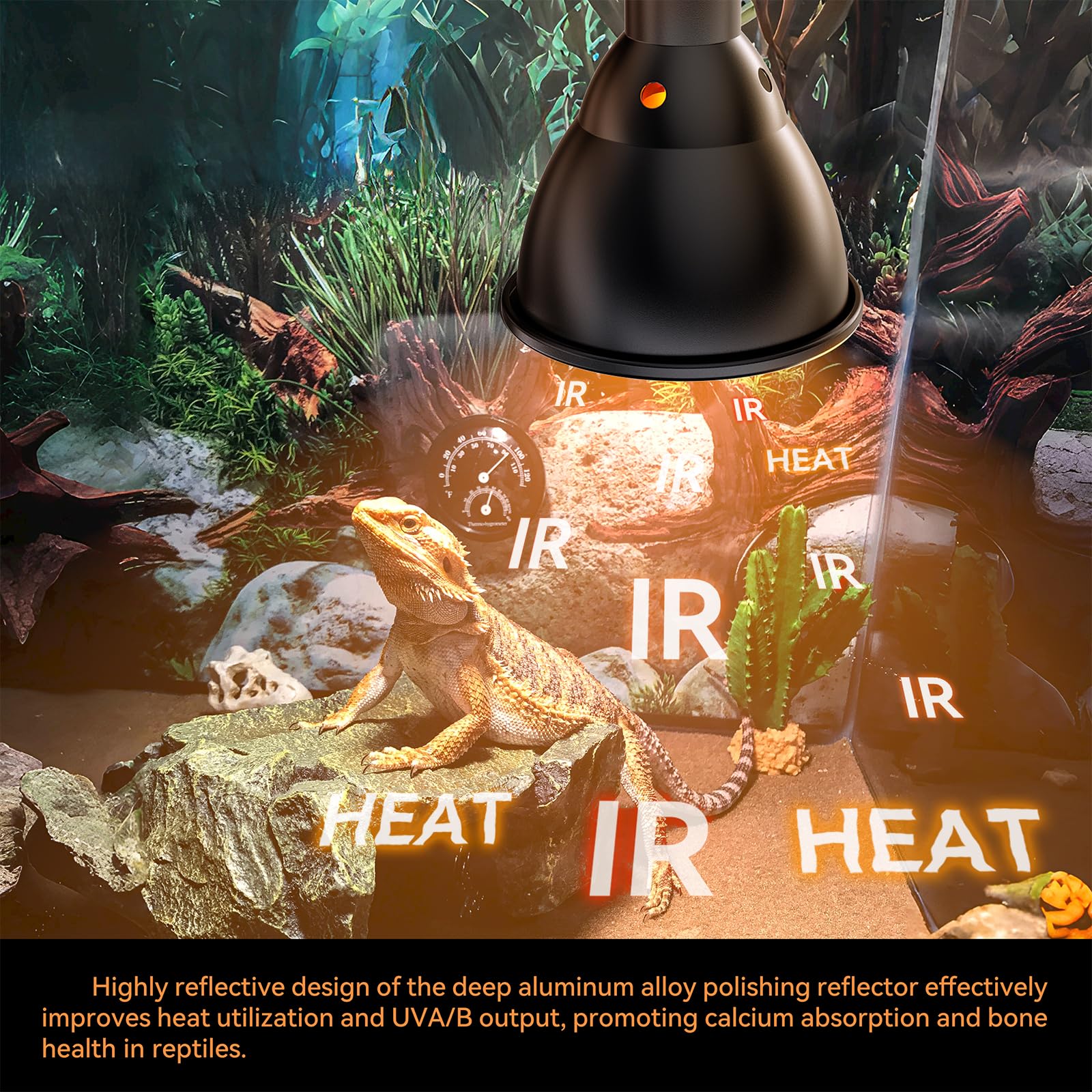 DTZY Reptile Light Fixture wide heat area suitable for multiple terrarium inhabitants
