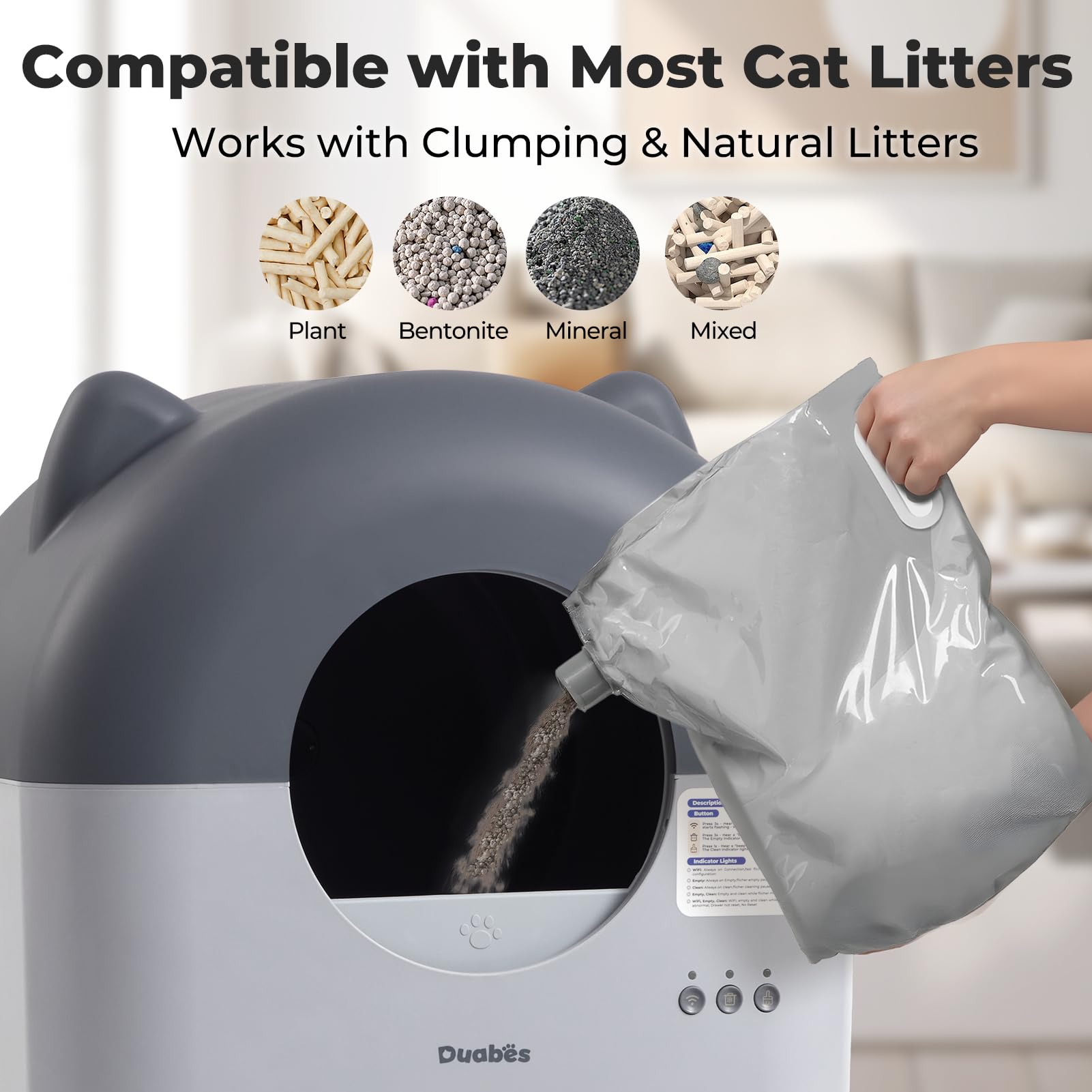 Duabes ambient lighting creates a calming mood for cats.