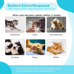 Duasdne pheromone refill 30 days close-up suggests long-lasting relief for multi-cat homes.