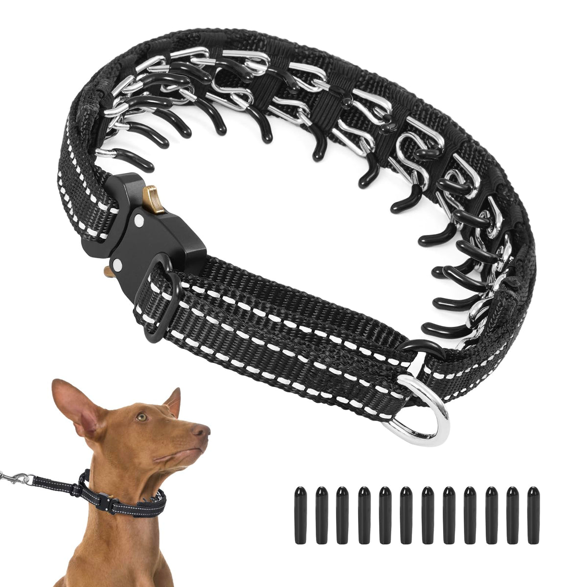 Duckygoo martingale collar front view shows durable nylon and secure buckle for daily walks