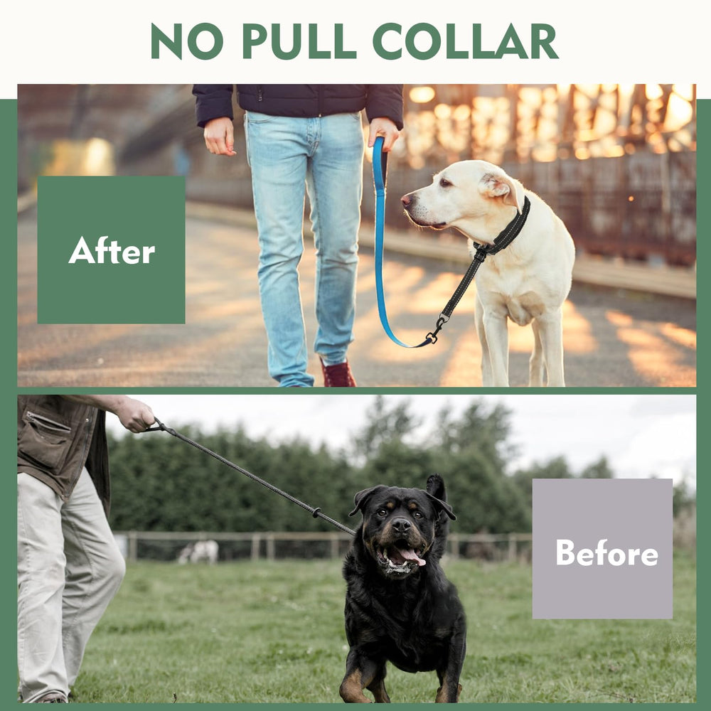 Duckygoo martingale collar reflective strip ensures nighttime visibility during evening strolls