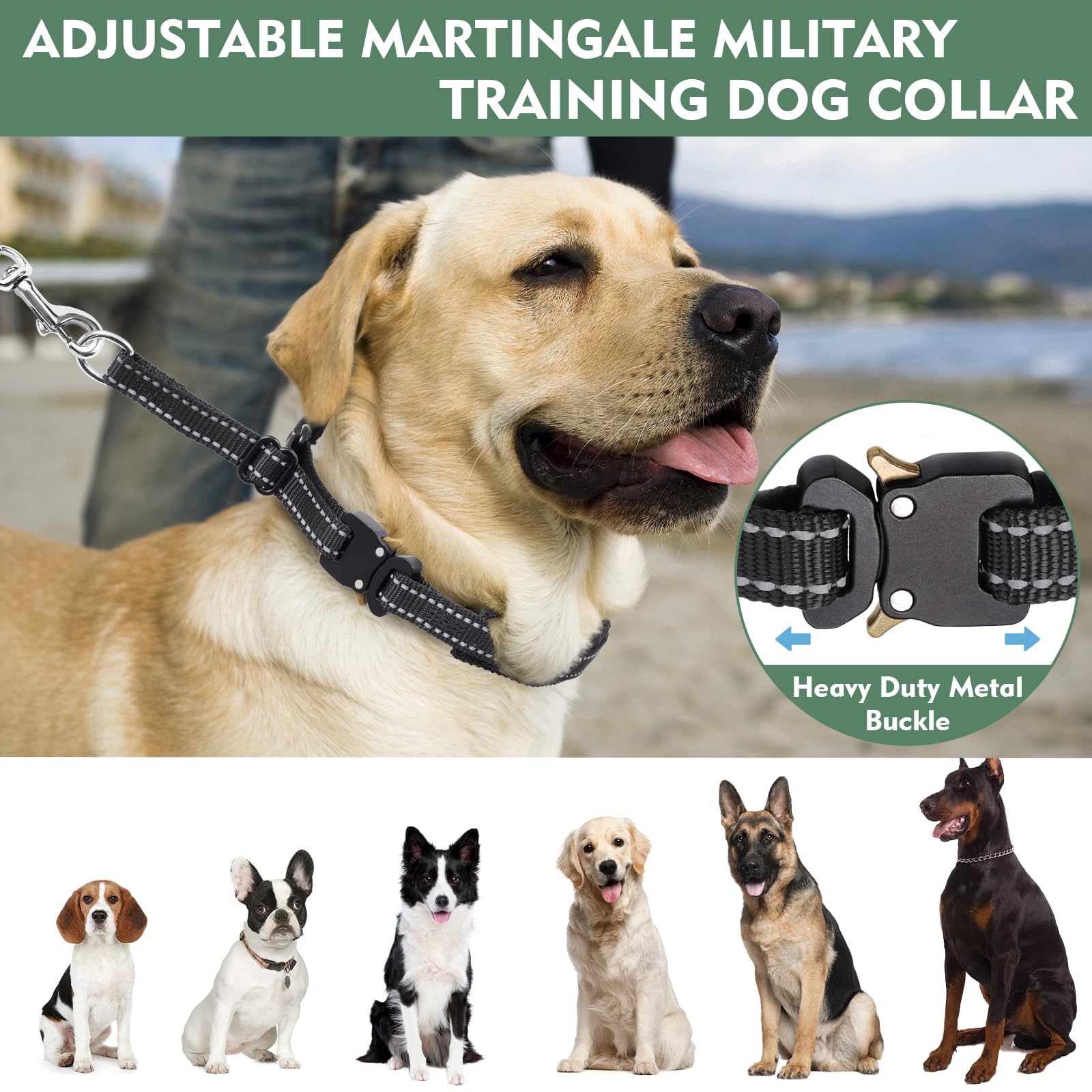 Duckygoo martingale collar side view highlights integrated links for a tidy training tool