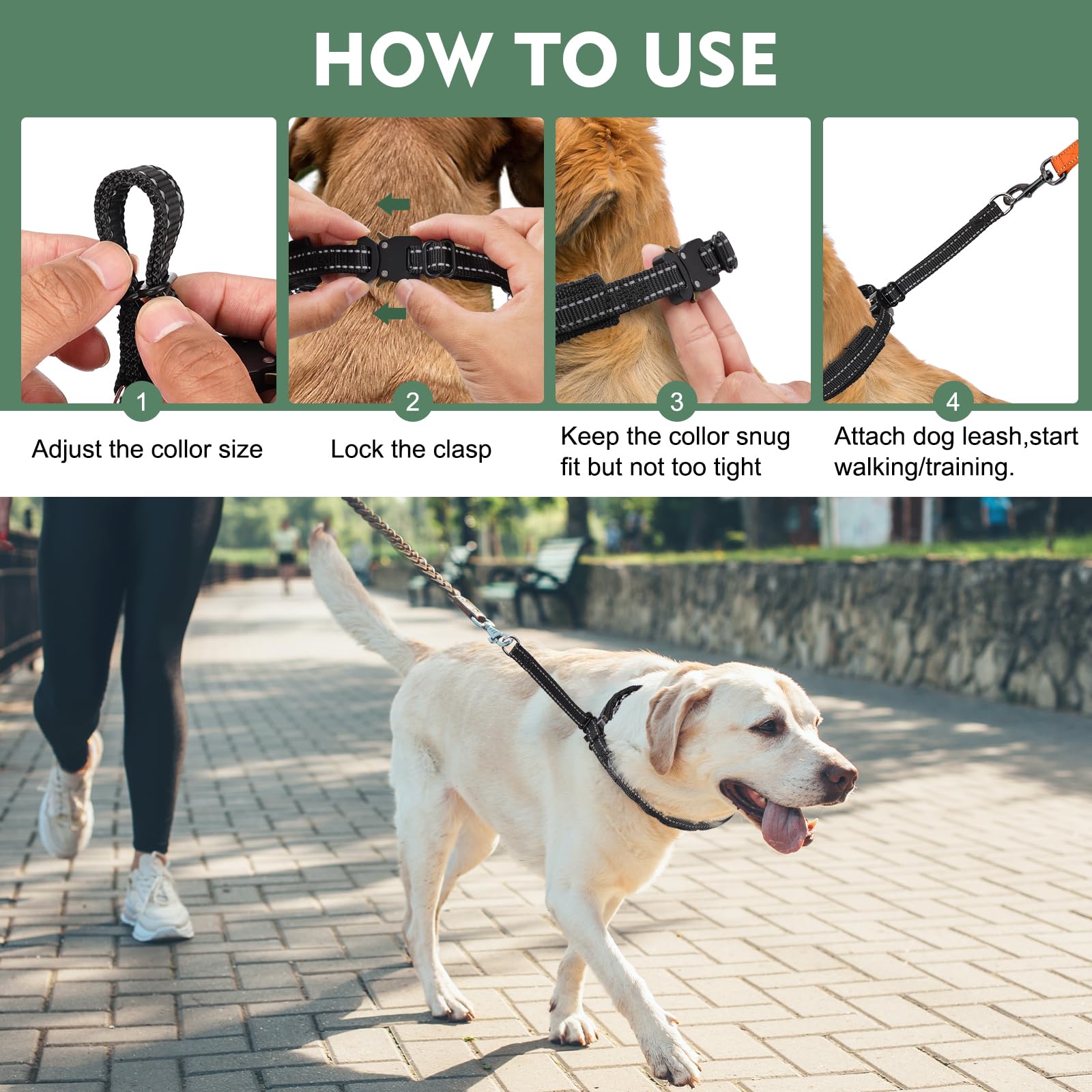 Duckygoo martingale collar size adjustment shows tool-free fit for all breeds