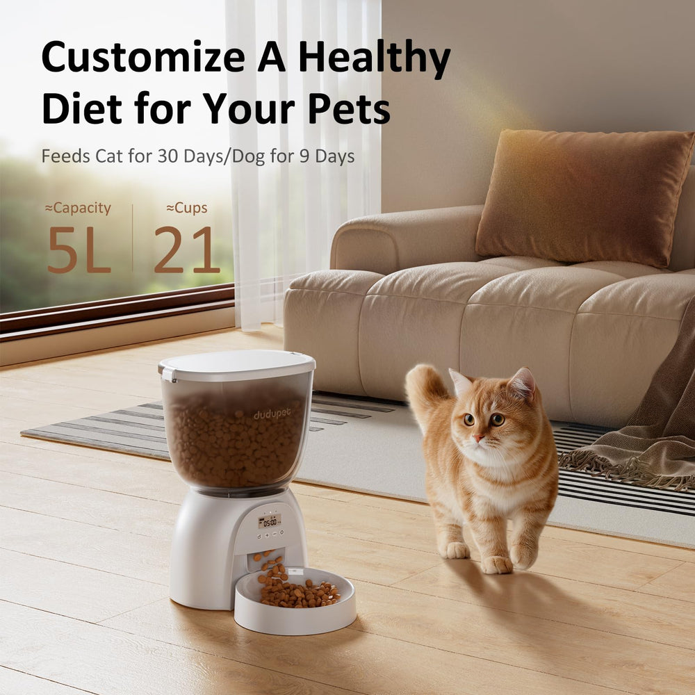 DUDUPET 5L cat feeder with programmed meals for pets and routines.