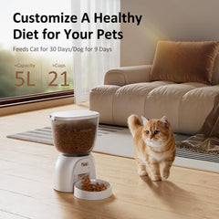 DUDUPET 5L cat feeder with programmed meals for pets and routines.