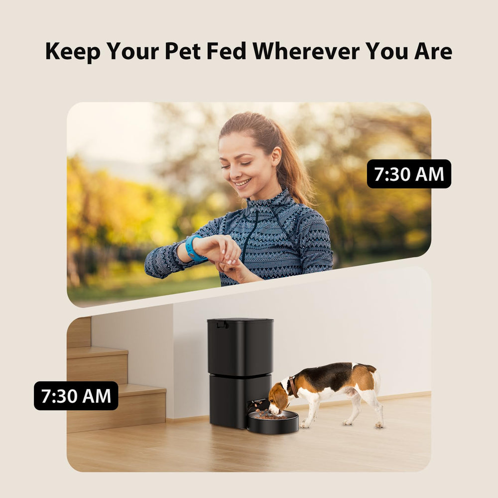 DUDUPET detachable hopper and dish simplifies cleaning and refilling